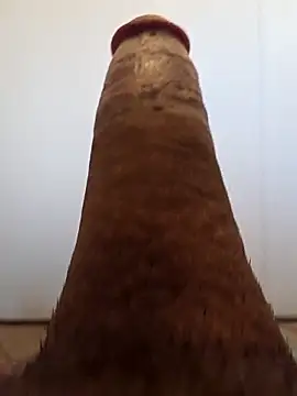 BooBooKittyFuhck online show from 11-12-25, 06:34