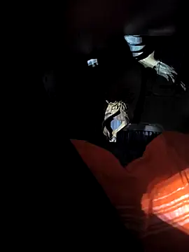 rajdehli online show from 04-18-26, 05:04