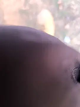 rajdehli online show from 03-26-26, 12:03