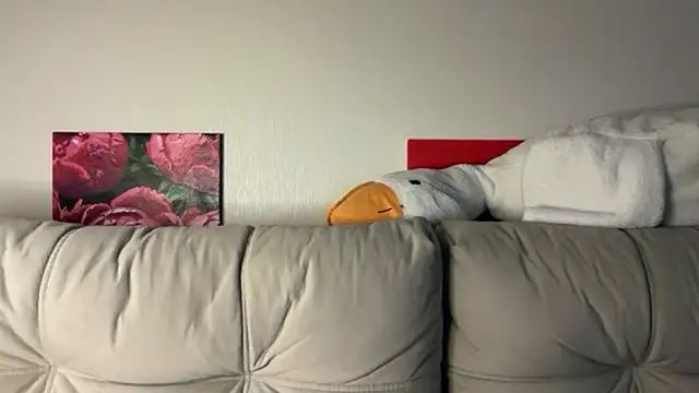 StellarAlice online show from 05-28-26, 08:26