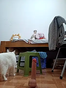 July-Asian online show from 12-01-25, 12:44