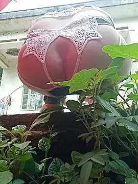 July-Asian online show from 05-24-26, 12:54