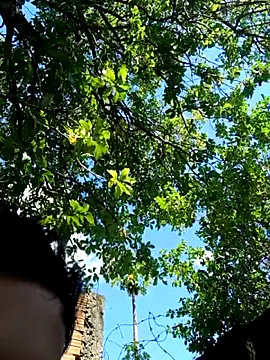 novinho safado   online show from 12-05-25, 05:55