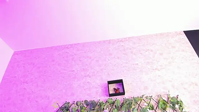 ImEmily444 online show from 10-04-25, 07:54