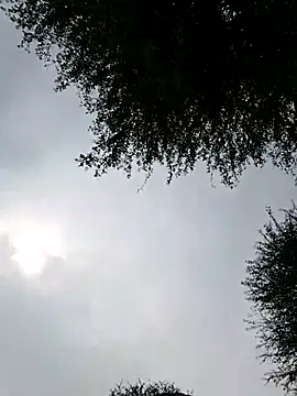 Desiandaj online show from 11-28-25, 04:01