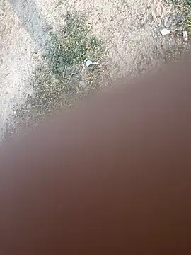 Desiandaj online show from 11-26-25, 02:44