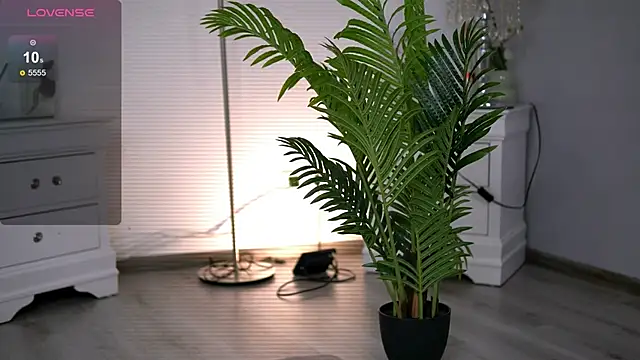 HotMollyX online show from 01-11-26, 05:58