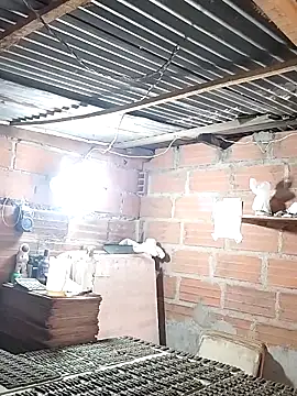 hoteder online show from 12-18-25, 12:42