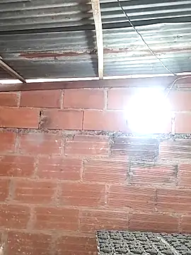 hoteder online show from 03-20-26, 01:45