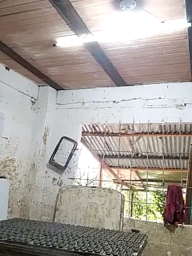 hoteder online show from 10-29-25, 01:32