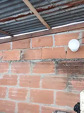 hoteder online show from 01-17-26, 03:15