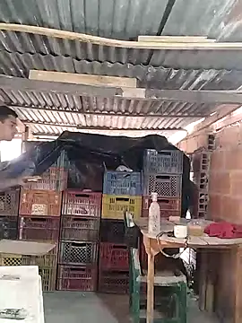 hoteder online show from 03-24-26, 12:38