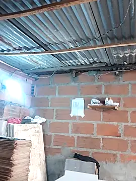 hoteder online show from 12-17-25, 01:27