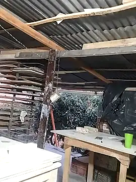 hoteder online show from 03-17-26, 11:13