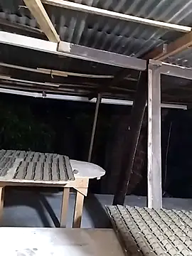 hoteder online show from 11-24-25, 11:16