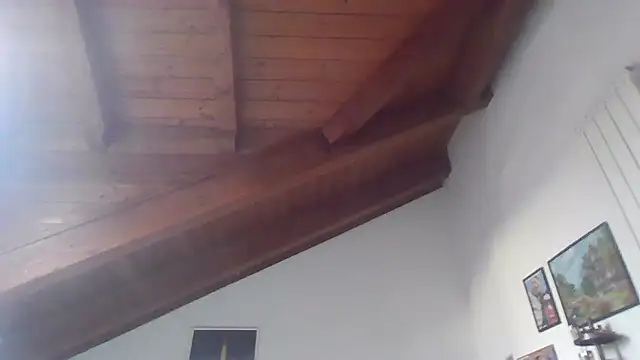 LadySophia03 online show from 01-10-26, 11:05