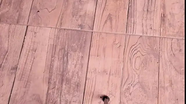 ZYZZ1312 online show from 12-19-25, 09:06