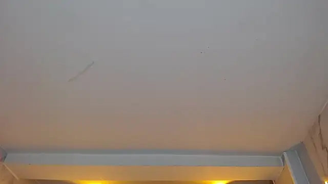 Snapshot of dania_b_ chatting on 10-19-25, 03:09 dania b online show from 10-19-25, 03:09