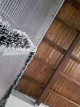 Lizbeth Rouse online show from 12-18-25, 11:03