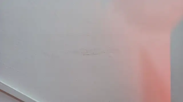 Lizbeth Rouse online show from 10-24-25, 10:36