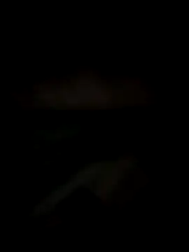 Lizbeth Rouse online show from 12-14-25, 11:16