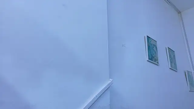 Lizbeth Rouse online show from 11-10-25, 11:37