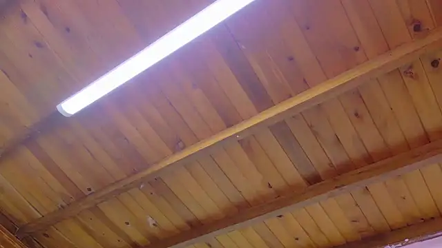 Lizbeth Rouse online show from 01-13-26, 10:41