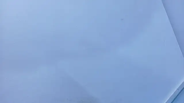 Lizbeth Rouse online show from 11-09-25, 11:14