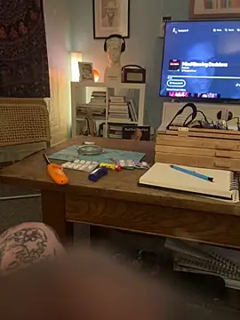 Roydie44 online show from 01-31-26, 11:03