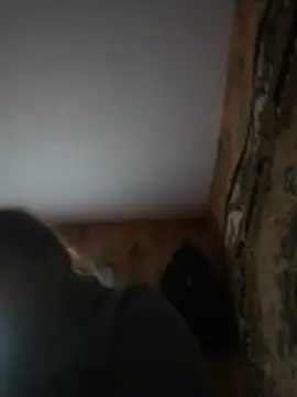 Romashka33011 online show from 03-31-26, 08:16