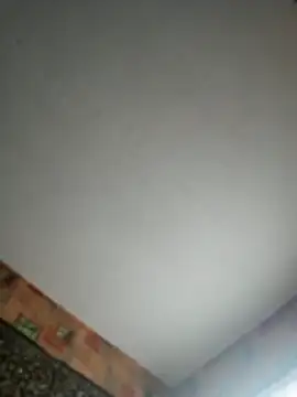 Romashka33011 online show from 10-29-25, 11:20