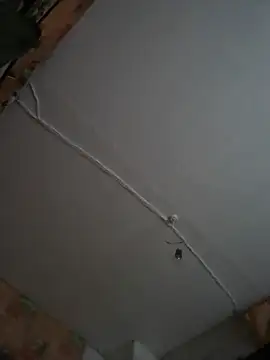 Romashka33011 online show from 11-06-25, 08:18