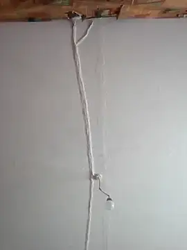 Romashka33011 online show from 02-24-26, 09:32