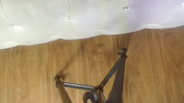 RylieRoss online show from 11-27-25, 01:33