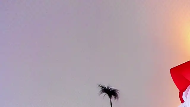 Lillie Berry online show from 10-25-25, 04:44