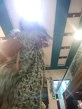 Cute-Janvi20 online show from 04-01-26, 04:04