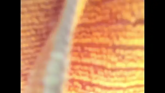 Snapshot of Goddes_any chatting on 10-27-25, 11:38 Goddes any online show from 10-27-25, 11:38