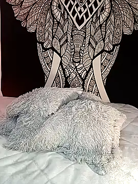 Enzo-wolf33 online show from 09-15-25, 11:05