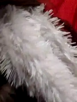 Babe Doll04 online show from 01-07-26, 07:57