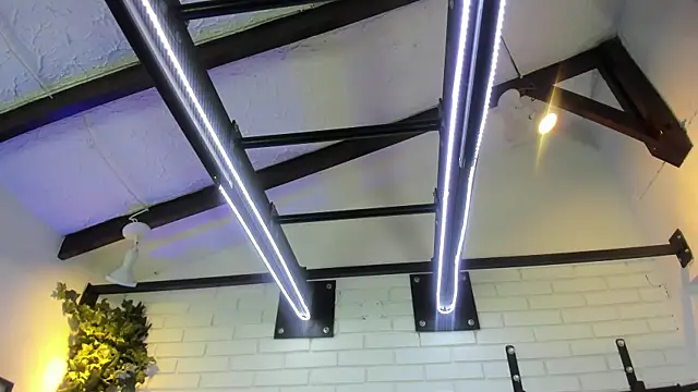 ItaloMoore online show from 11-06-25, 11:25