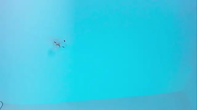 Im naho online show from 11-19-25, 09:59