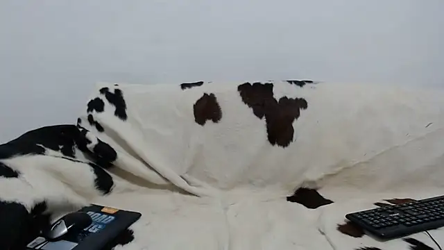 Dan jonson15 online show from 11-26-25, 05:51