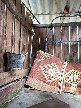 PhanHaa online show from 02-23-26, 02:57