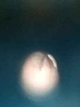 Sonya51561 online show from 12-19-25, 03:36