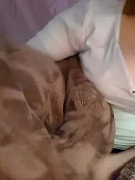 Nana-bar online show from 11-24-25, 03:01