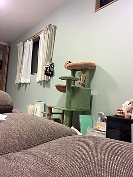 Snapshot of aki_2727 chatting on 10-10-25, 12:17 aki 2727 online show from 10-10-25, 12:17