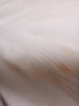 sulove xx online show from 03-31-26, 11:40