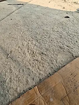 Snapshot of UP16LT5355 chatting on 11-23-25, 07:40 UP16LT5355 online show from 11-23-25, 07:40