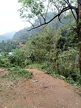 linda bae00 online show from 03-06-26, 09:04