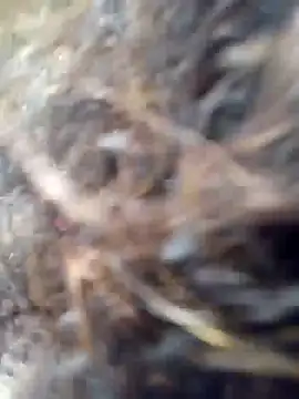 Missparis online show from 11-14-25, 08:56